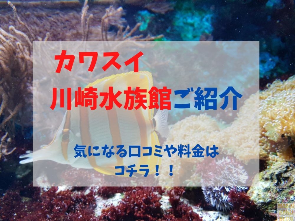 神奈川 7月17日open カワスイ 川崎水族館の限定イベント情報や口コミを大調査